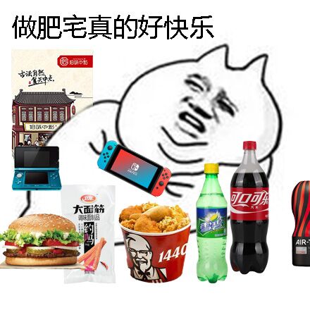 做肥宅真的好快乐 - 真正的肥宅