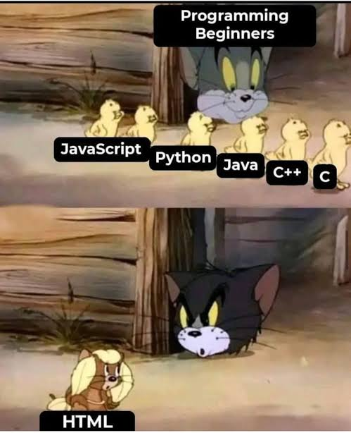 Programming Beginners