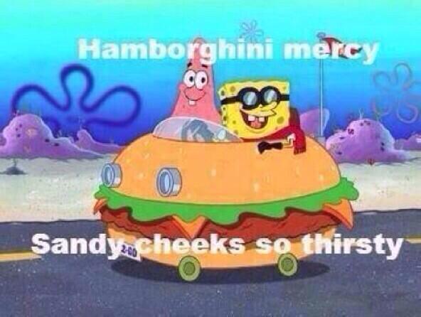 HAMBORGHINI MERCY SANDY CHEEKS SO THIRSTY