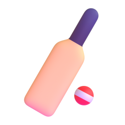 Cricket game
