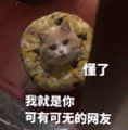 是喵星人啦00049-懂了我就是你可有可无的网友猫