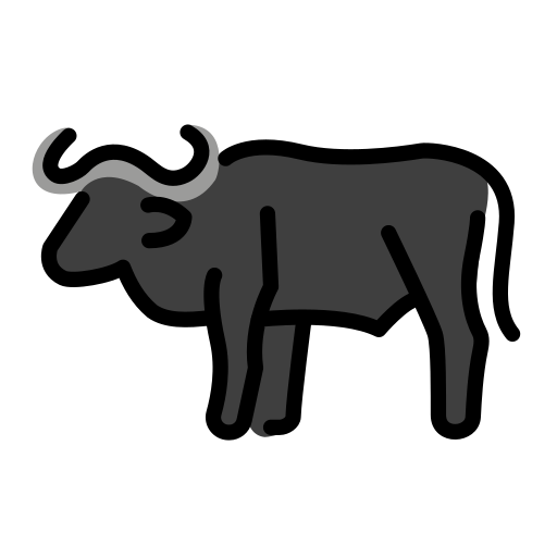 Water buffalo