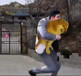 嘎子偷狗表情包
