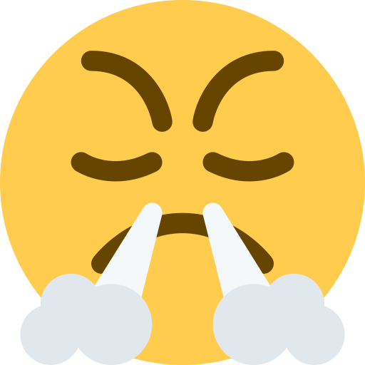 Face with steam from nose