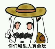 你们城里人真会玩