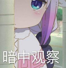 暗中观察