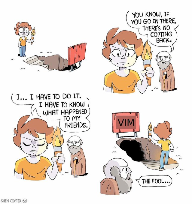 VIM