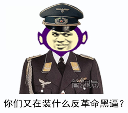 你们又在装什么反革命黑逼?