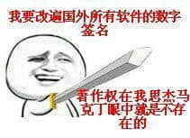 马克丁00006-我要改遍国外所有软件的数字签名著作权在我思杰马克丁眼中就是不存在的