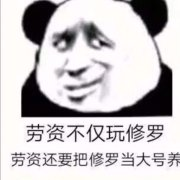 劳资不仅玩修罗.劳资还要把修罗当大号养