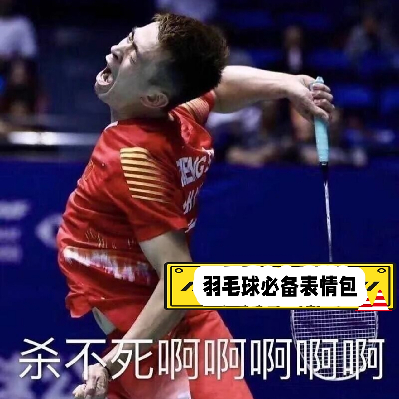 羽毛球必备表情包