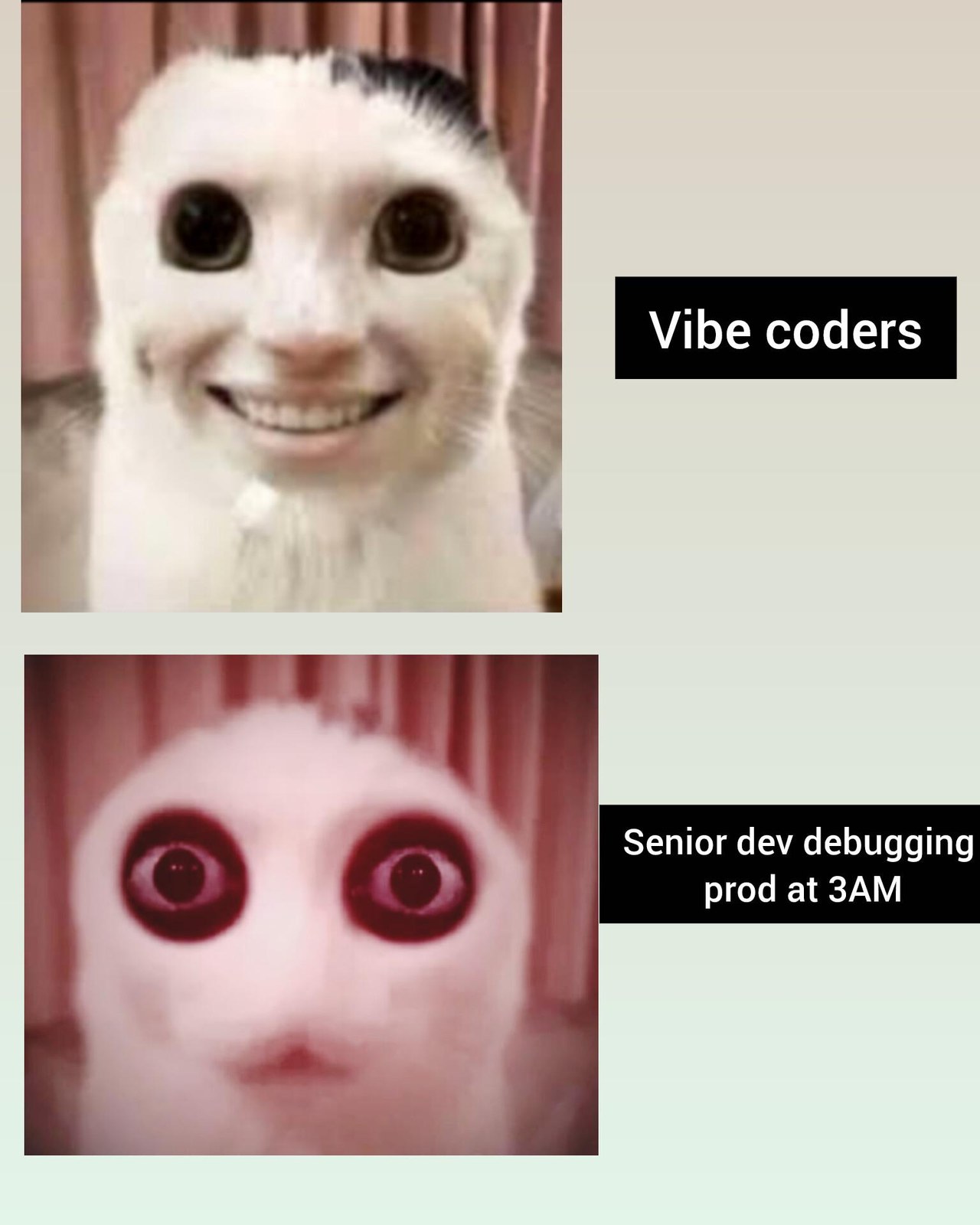 Vibe Vs Skills