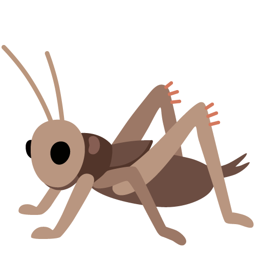 Cricket