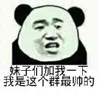 妹子们加我一下,我是这个群最帅的(熊猫人)