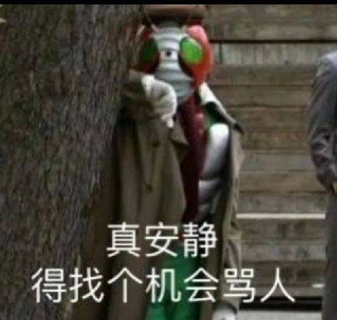 真安静.得找个机会骂人