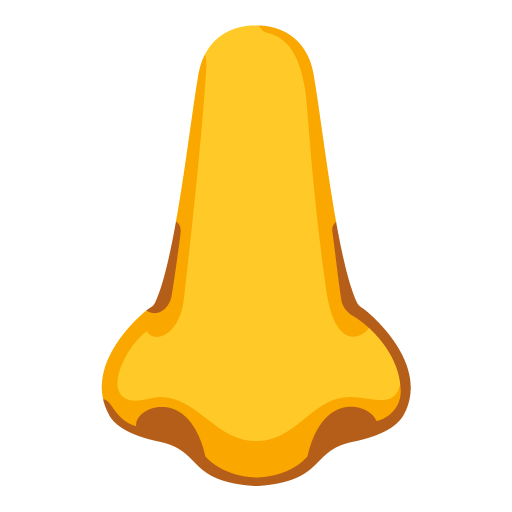 Nose