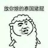 放你娘的泰国狗屁!(小羊)