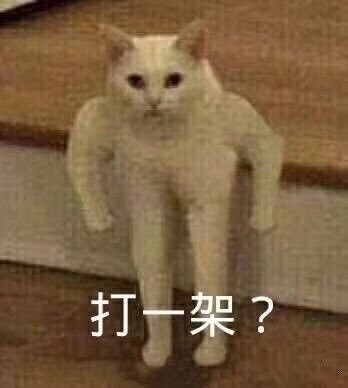 打—架?