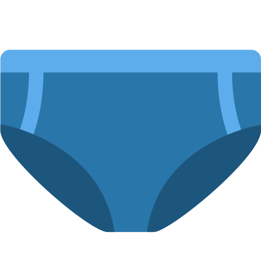 Briefs