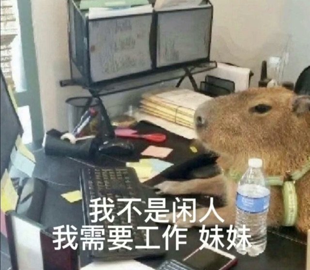 我不是闲人我需要工作妹妹