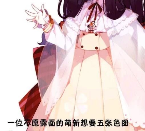 一位不愿露面的萌新想要五张色图