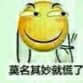 滑稽大佬00071-莫名其妙就慌了
