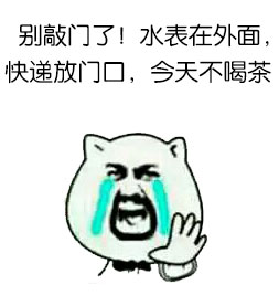 别敲门了,水表在外面,快递放门口,今天不喝茶