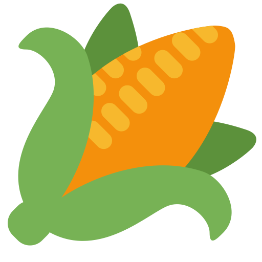 Ear of corn