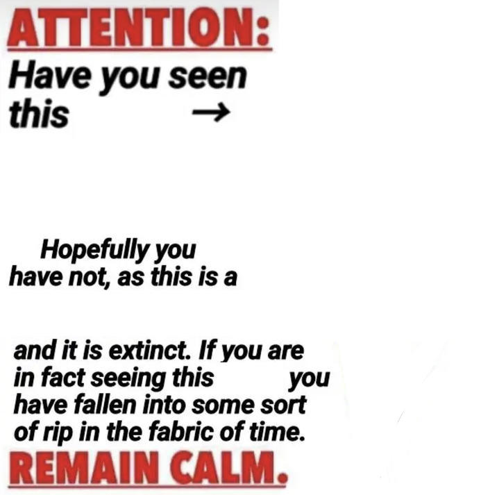 Attention: Have You Seen This ?