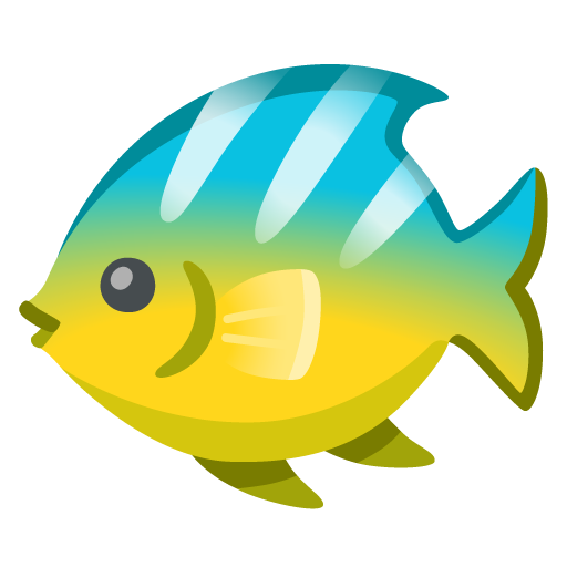 Tropical fish