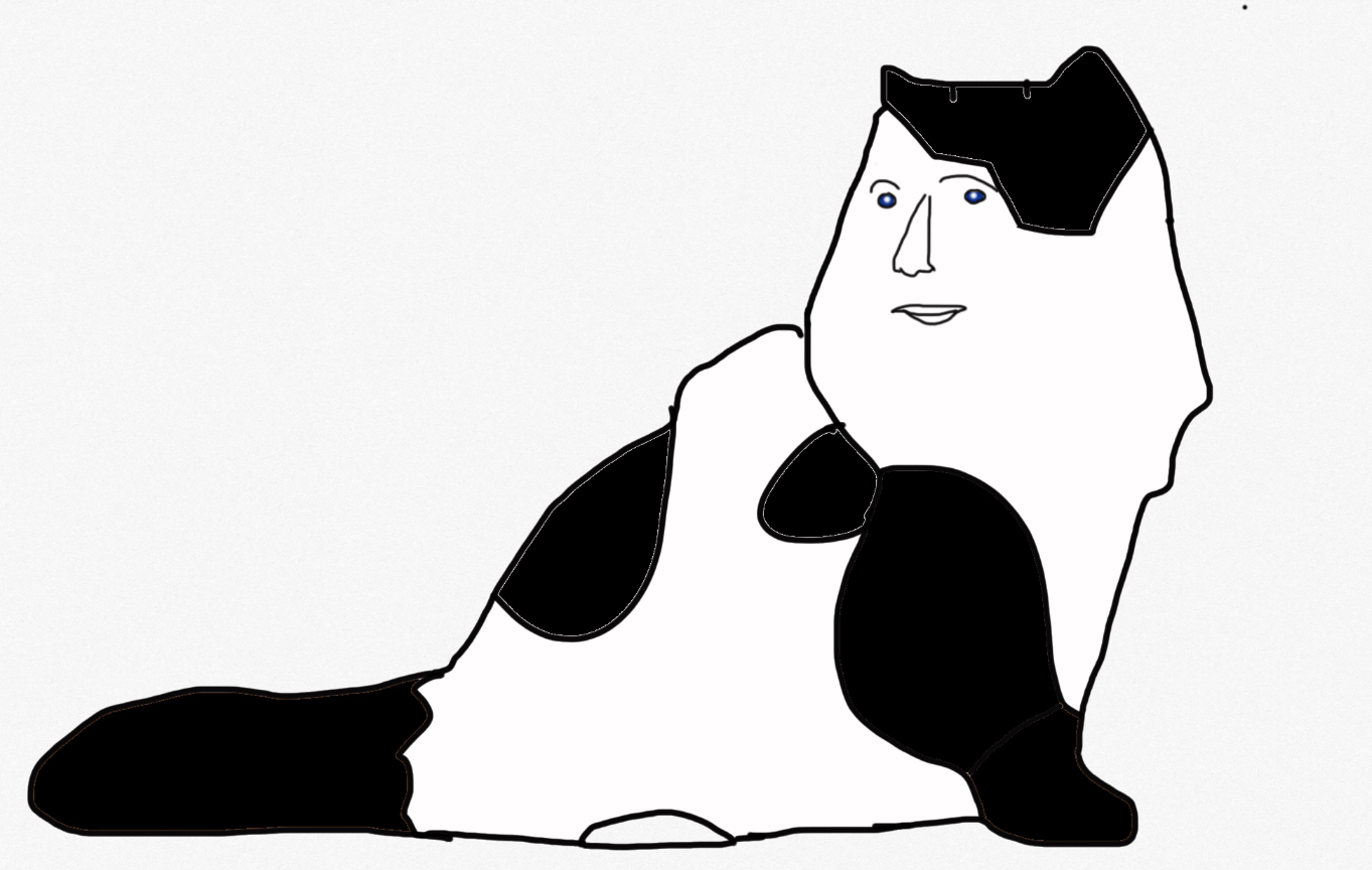 Meme cat 2.0