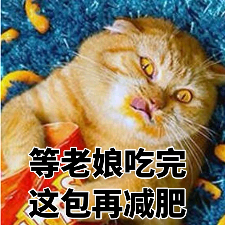 无时无刻不在减肥但却永远没有成功过得人生