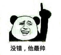 没错,他最帅!(熊猫人)
