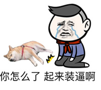 你怎么了,起来装逼啊(狗狗死了)