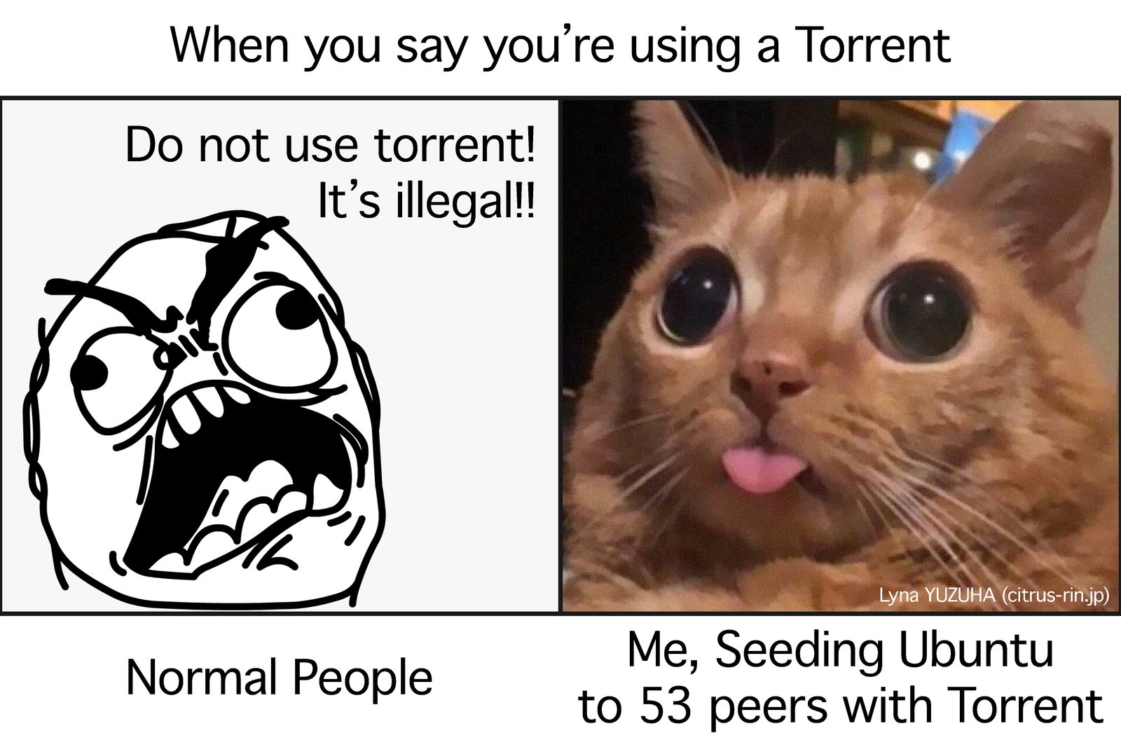 When You Say Youre Using Torrent