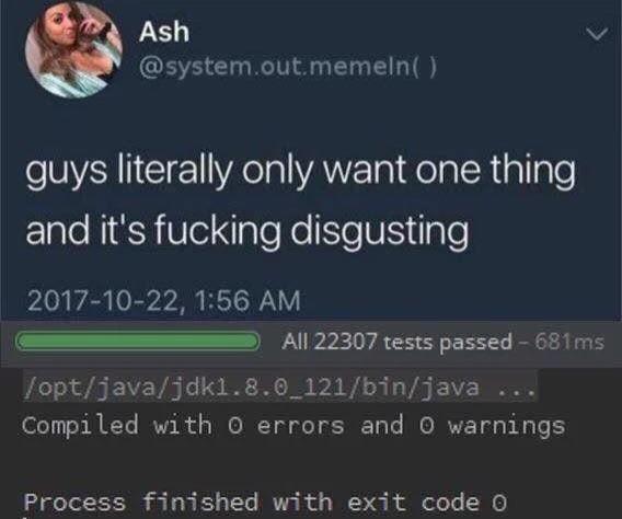 The Holy Grail Of Programming