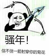 骚年!信不信一箭射穿你的菊花!(熊猫头)