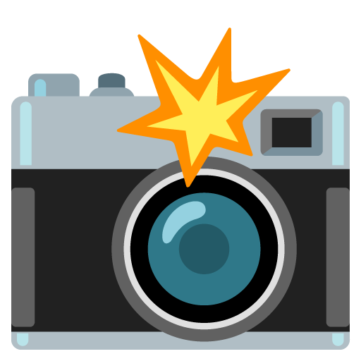 Camera with flash