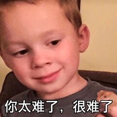 你太难了.很难了