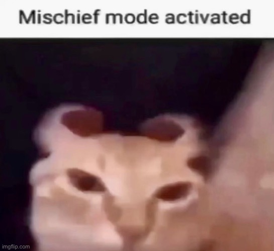 Mischief mode activated