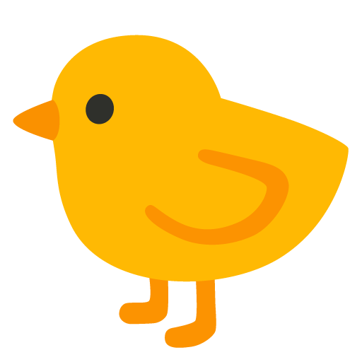 Baby chick