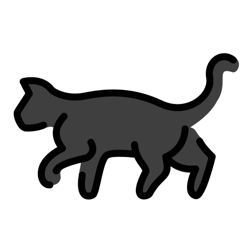 Black cat