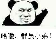 哈喽,群员小弟!(熊猫人)