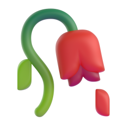 Wilted flower