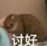 讨好