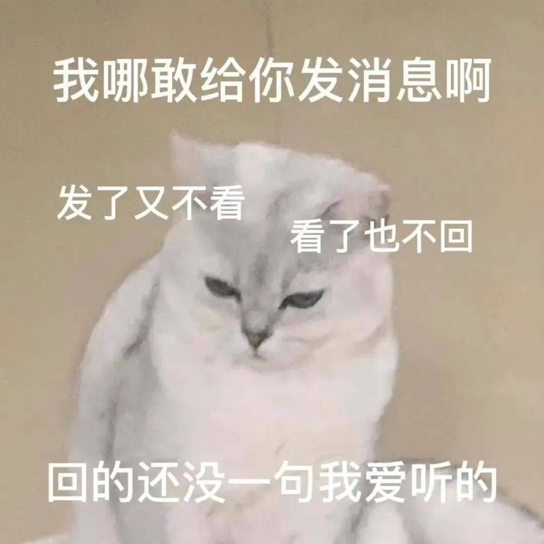 我哪敢给你发消息啊发了又不看看了也不回回的还没一句我爱听的