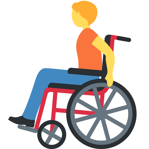 Person in manual wheelchair