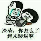 渣渣,你怎么了?起来装逼啊