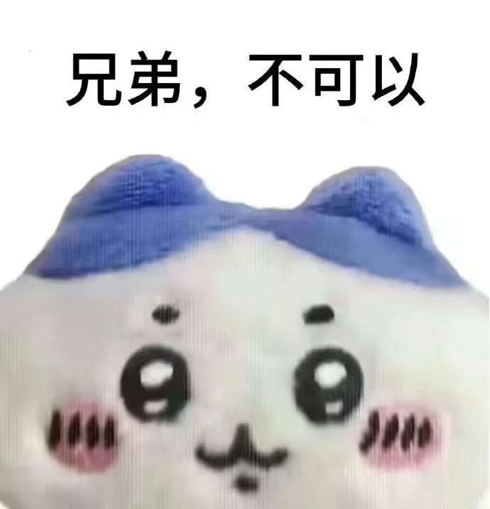兄弟,不可以