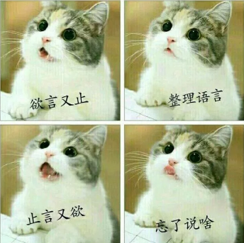 四格拼图里是一只灰白相间的猫咪